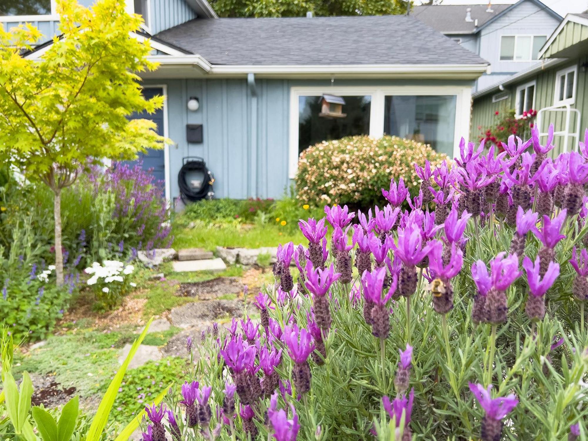 Magnolia Garden Cottage Seattle Zewnętrze zdjęcie