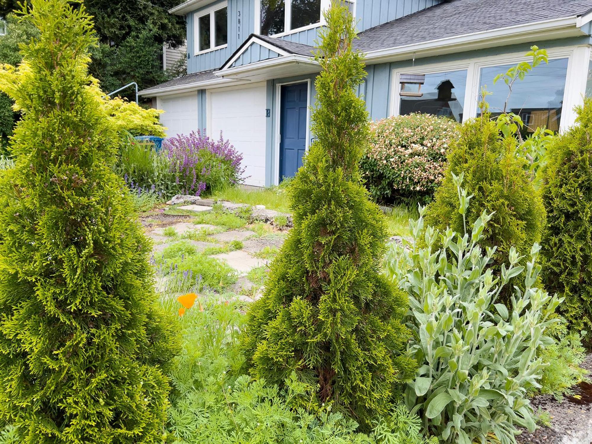 Magnolia Garden Cottage Seattle Zewnętrze zdjęcie